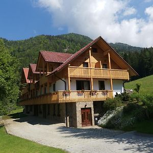 Turisticna Kmetija Zgornji Zavratnik Hotell Luče Exterior photo