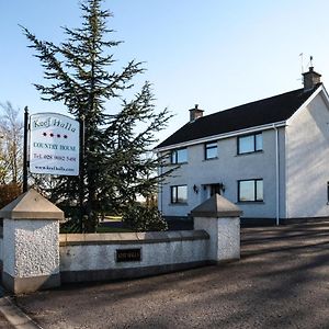 Keef Halla Country House Hotell Crumlin  Exterior photo