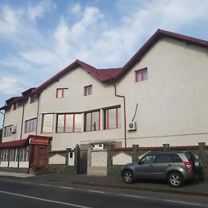 La Zinculescu Hotell Albestii Paminteni Exterior photo