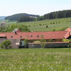 Podkrovi V Jihoceskem Statku Guest House Nemejice Exterior photo