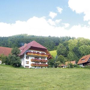 Geigerbauernhof Leilighet Mühlenbach Exterior photo