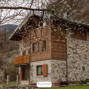 Dolomiti Riverside Hotell Perarolo di Cadore Exterior photo