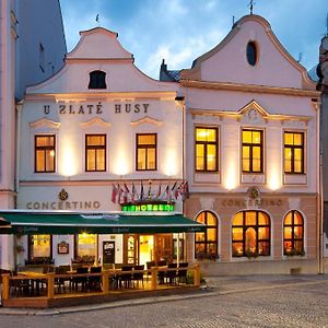 Hotel Concertino Zlata Husa Jindřichův Hradec Exterior photo