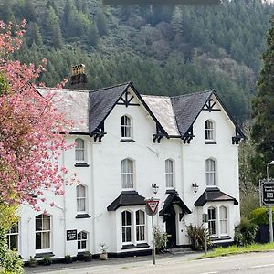 The Buckley Arms Hotell Dinas Mawddwy Exterior photo