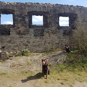 Ferienhaus Leopold Mit Burgblick An Der Mosel Leilighet Burgen  Exterior photo