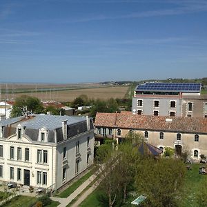 Le Domaine Du Meunier Hotell Mortagne-sur-Gironde Exterior photo