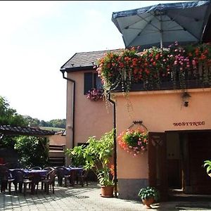 Restaurace A Penzion Na Ruzku Hotell Morina Exterior photo