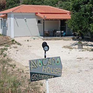 Avocado House Villa Finikounta Exterior photo