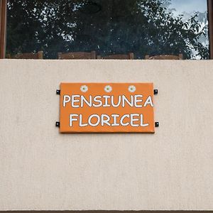 Pensiunea Floricel Hotell Stoeneşti Exterior photo