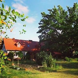 Agro - Dom Wsrod Lasow Hotell Trzcianka Exterior photo