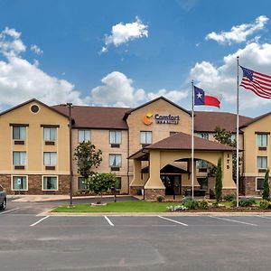 Comfort Inn&Suites Mansfield Exterior photo