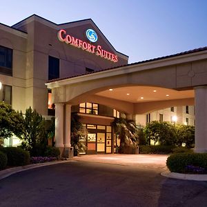 Comfort Suites Starkville Exterior photo