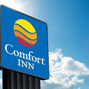 Comfort Inn&Suites Fultondale Exterior photo