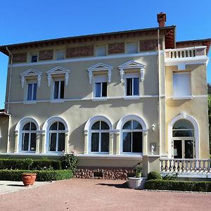 Chateau Blanchard Hotell Chazelles-sur-Lyon Exterior photo