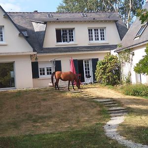 La Fantasia Bed & Breakfast Verrieres-en-Anjou Exterior photo