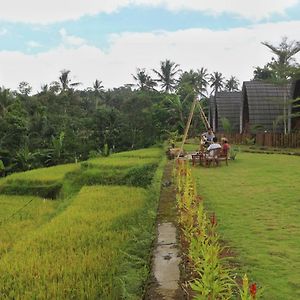 Omah Bapak Ijen Eco House Hotell Licin Exterior photo