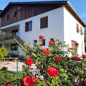 Le Jardin De Moulis Bed & Breakfast Exterior photo