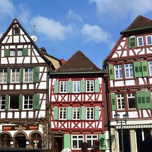 Gaestehaus Am Marktbrunnen Aparthotel Bretten Exterior photo