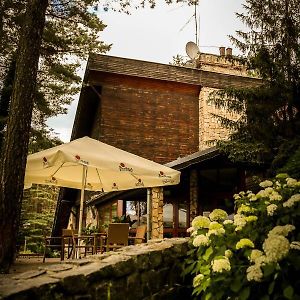 Stolarnia Bed & Breakfast Piła Exterior photo