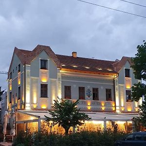Conacul Sfantul Sava Brancovici Hotell Ineu  Exterior photo