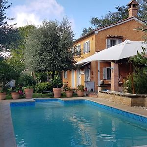 Home set in olive grove Mondavio Exterior photo