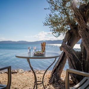 Beautiful Traditional Stone House In The Private Sea Front Olive Grove Of Elaionas Nikou Luxury Villas Alyfanta Exterior photo