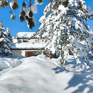Vila Snjeguljica Blidinje 200 M Od Ski Staze Risovac Exterior photo