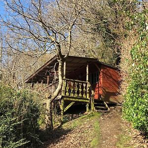 Surfers And Walkers Cosy Camping Cabin Leilighet Ilfracombe Exterior photo