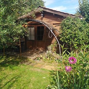 Le Chalet Du Jardin Cache Hotell Marmande Exterior photo