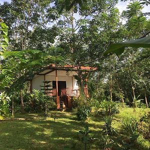 Baansuan Suksangob Farm Stay Trang Exterior photo