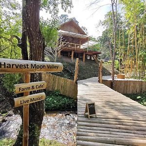 Harvest Moon Valley Villa Ban Pang Luang Exterior photo