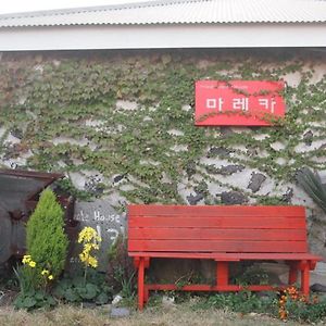 Mareka Pension Jeju by Exterior photo