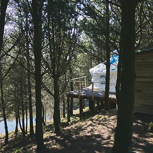 Raven Yurt - Yurtopia Hotell Aberystwyth Exterior photo