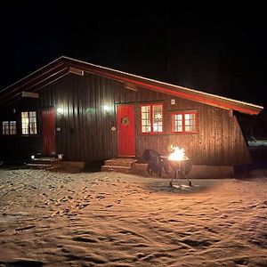 Koselig Hytte Med Uteplas Ved Hallingdalselva Villa Ål Exterior photo