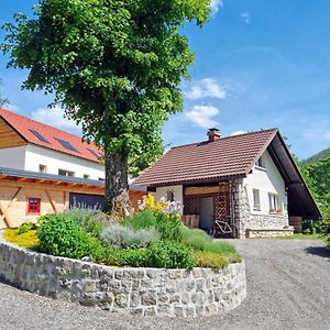 Lake View Holiday Home Cerknica Exterior photo