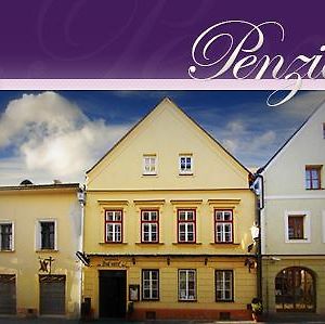 Penzion U Lucerny Hotell Jindřichův Hradec Exterior photo