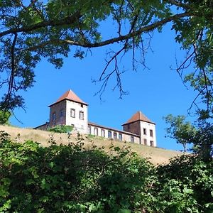 Chateau De Gorze Leilighet Germolles-sur-Grosne Exterior photo