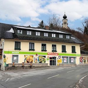 Apartment Moser By Interhome Stein an der Enns Exterior photo