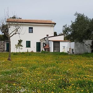 Casa Matilda - Abbasanta - Sardegna - Iun R4877 Leilighet Exterior photo