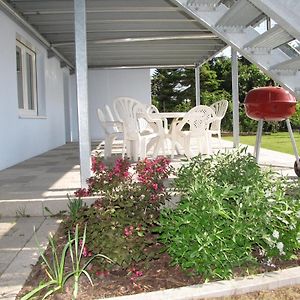 Haus Biengarten Leilighet Neustadt an der Weinstraße Exterior photo