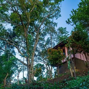 The Woods - Birding, Farming & Eco Living Hotell Haputale Exterior photo