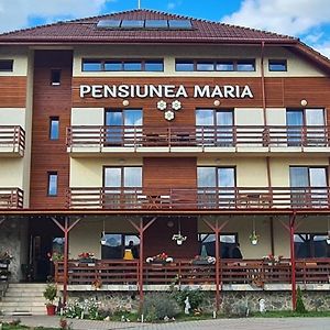 Pensiunea Maria Hotell Gilău Exterior photo