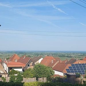 Traumblick Suedpfalz Leilighet Burrweiler Exterior photo