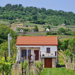 Jera Pince Es Vendeghaz Villa Somlovasarhely Exterior photo