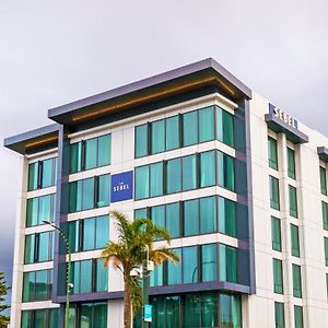 The Sebel Wellington Lower Hutt Hotell Exterior photo