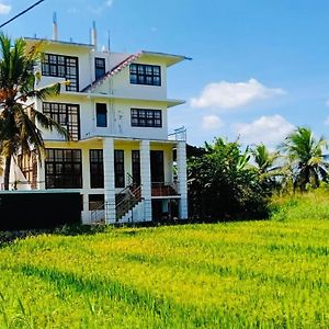 Freedom Of Green Rice View Hotell Anuradhapura Exterior photo