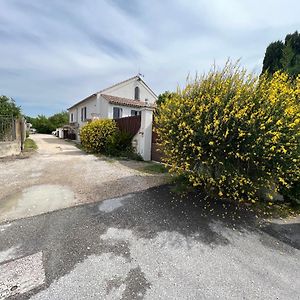 Le Chalet De Lou Leilighet Sarrians Exterior photo