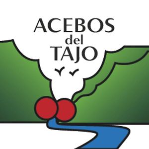 Acebos Del Tajo Leilighet Peralejos de las Truchas Exterior photo