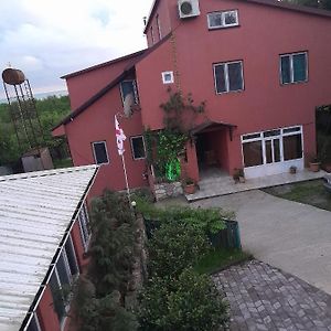 Zau Vila Hotell Grigoleti Exterior photo