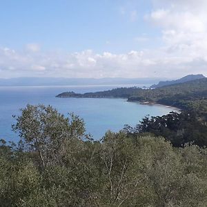 Porquerolles - Nuit Insolite A Bord Du Defi Fou Hotell Exterior photo